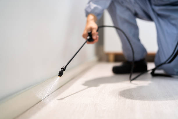 Certified termite inspector examining foundation in Coopersville