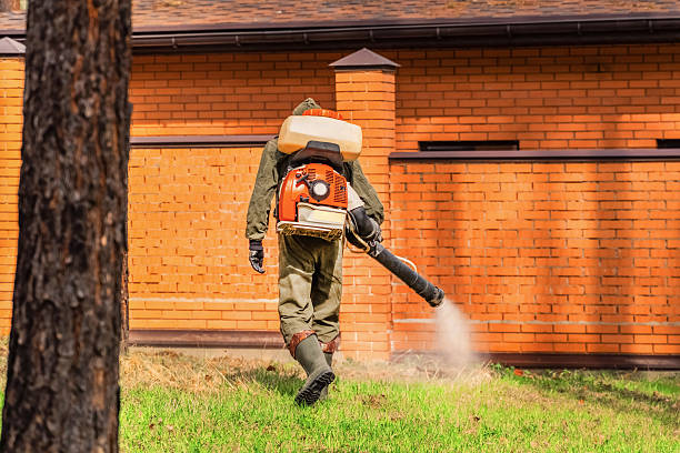 Top rated local Wasp Removal specialists in Coopersville, MI